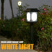 White light